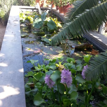 Upland Nursery - Nurseries & Gardening Near Me - Orange, California Upland Nursery - Nurseries & Gardening Near Me - Orange, California