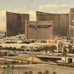 Las Vegas Strip Trips
