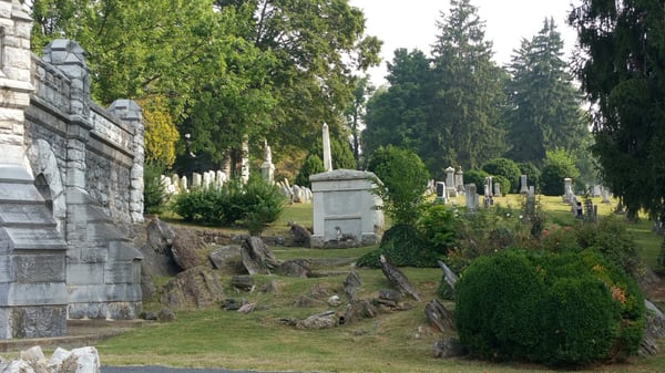 Thornrose Cemetery by null