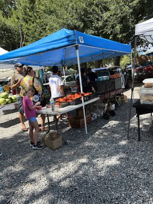 Sunday Brunch Farmers Market by null