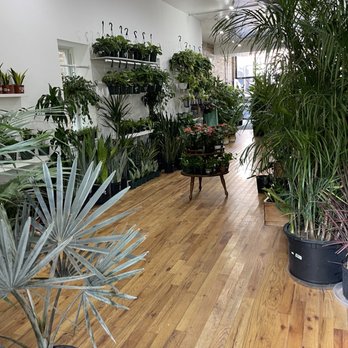Chicago Plants - From the back of the store. - Nurseries & Gardening Near Me - Chicago, Illinois