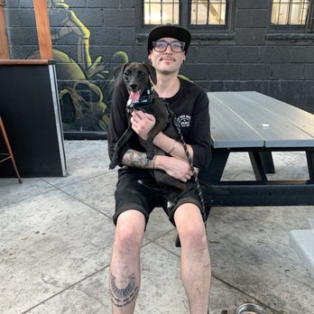 The Brutal Poodle - Dog friendly patio - Bars Near Me - Denver, Colorado