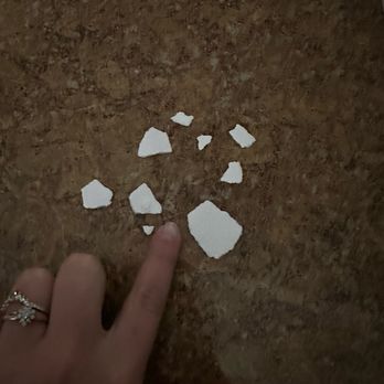 Cook Out - Broken styrofoam that was in my ice cream that I had to pick out my mouth - Burgers Near Me - Augusta, Georgia