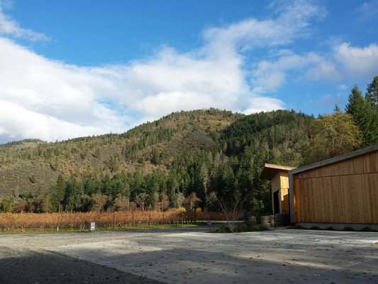 Cowhorn Vineyard & Garden by null