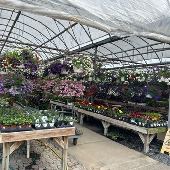 Potomac Garden Center - Greenhouse - Nurseries & Gardening Near Me - North Potomac, Maryland