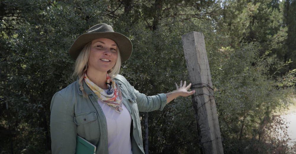 WINDERMERE REAL ESTATE PROFESSIONALS IN MCCALL Updated September 2024