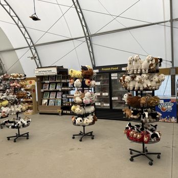 Critter Barn - Entrence/lobby/gift store - Kids Activities Near Me - Zeeland, Michigan