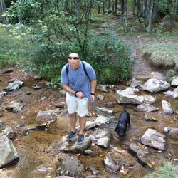 Dolly Sods Wilderness - Creek crossing with our pup