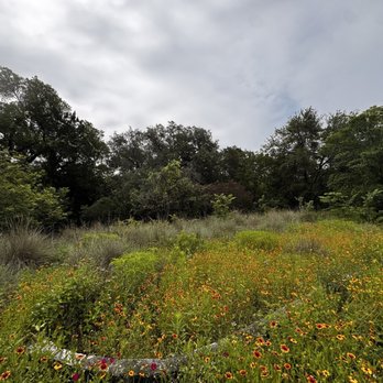 Blunn Creek Greenbelt - Hiking Near Me - Austin, Texas Blunn Creek Greenbelt - Hiking Near Me - Austin, Texas