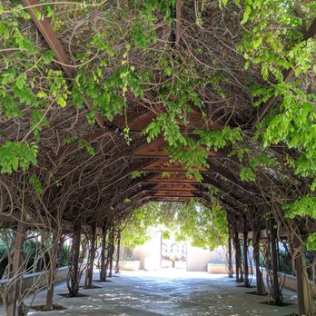 ABQ BioPark Botanic Garden - I think they use this gorgeous venue for ceremonies etc - Botanical Gardens Near Me - Albuquerque, New Mexico ABQ BioPark Botanic Garden - I think they use this gorgeous venue for ceremonies etc - Botanical Gardens Near Me - Albuquerque, New Mexico