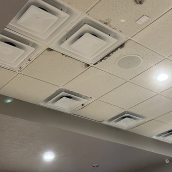 Taco Casa - Moldy ceiling tiles above dining area - Tacos Near Me - Cypress, Texas