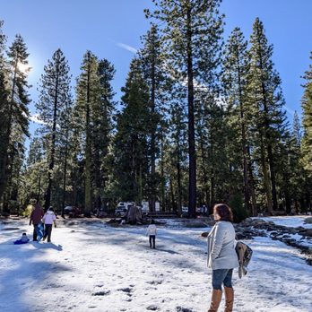 Pinecrest Lake - Surrounding - Lakes Near Me - Pinecrest, California