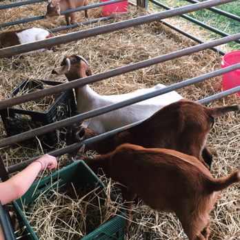 Burlington County Farm Fair - Festivals Near Me - Westampton, New Jersey