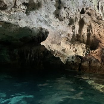 Cenote Tortuga - Cenote - Local Flavor Near Me - Quintana Roo, ROO Cenote Tortuga - Cenote - Local Flavor Near Me - Quintana Roo, ROO
