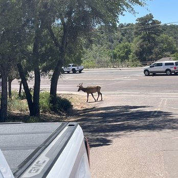 Denny's - Diners Near Me - Show Low, Arizona