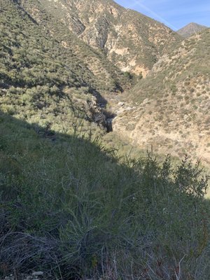 Trail Canyon Falls by null