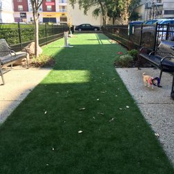 Downtown Dog Walk - Grand Opening 10.28.2016
