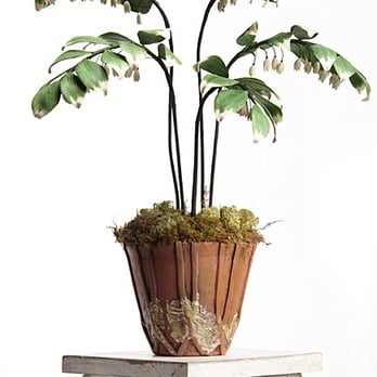J. Nichols Clay Botanicals - Art Galleries Near Me - Paducah, Kentucky