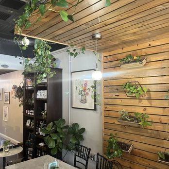 Ivy Café - Coffee & Tea Near Me - Clayton, Missouri Ivy Café - Coffee & Tea Near Me - Clayton, Missouri