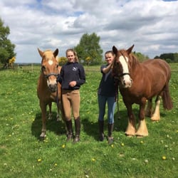 Turpins Lodge Riding School - Showing off two new arrivals.