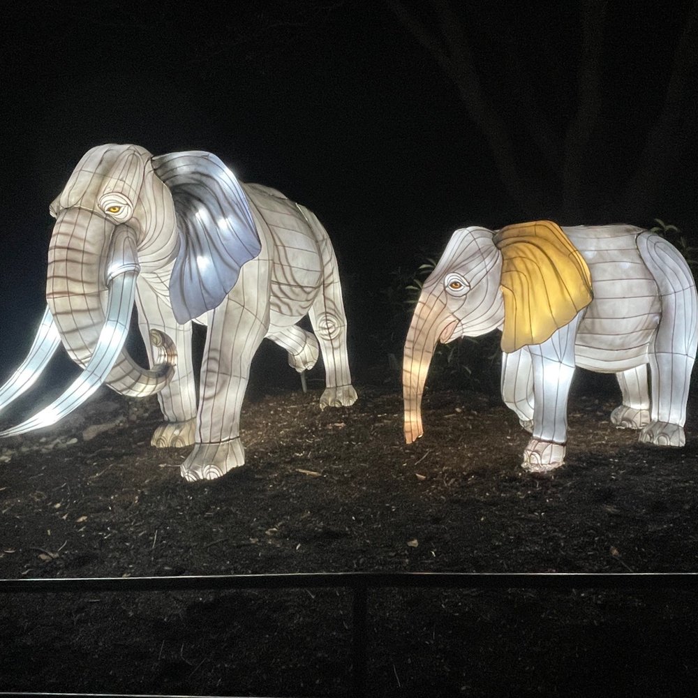 ZooLights - Zoos Near Me - Washington, DC, District of Columbia