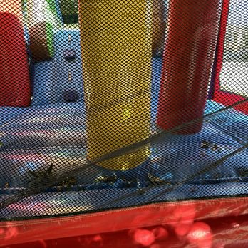 CenTex Jump & Party Rentals - Bounce House Rentals Near Me CenTex Jump & Party Rentals - Bounce House Rentals Near Me