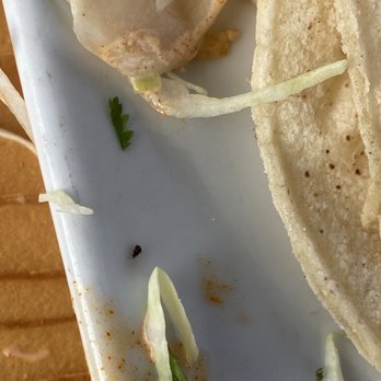 Taco Beach - Bug in your food - Mexican Near Me - Long Beach, California Taco Beach - Bug in your food - Mexican Near Me - Long Beach, California