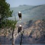 Photo of Bentley Tours