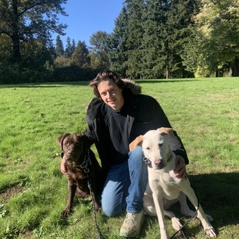 Concierge K-9 Training - Joshua with Ember (brown) & Yuki (white) - Pet Training Near Me