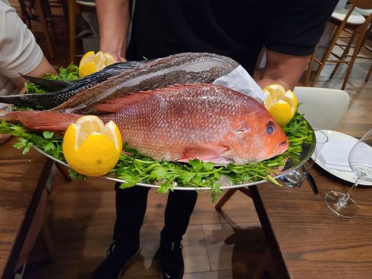 Limani Grille Seaport by null