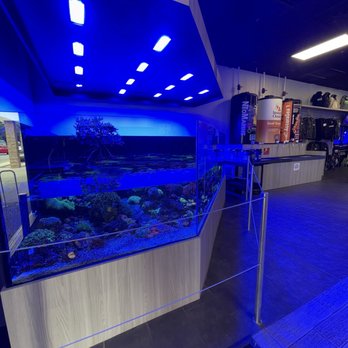 World Wide Corals - Main Entrance - Aquarium Services Near Me - Orlando, Florida