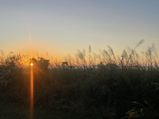 Historic Corolla Park by null