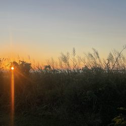 Outer Banks Center For Wildlife Education