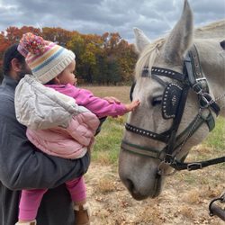 Bunker Park Stable - Petting one of the horses that pulled the trailer for the hay ride.