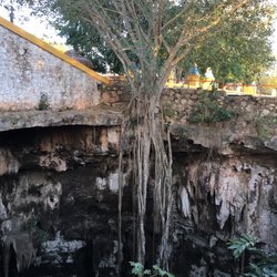 Cenote San Lorenzo Oxman - Tree roots extending the height of the cenote is extra magical