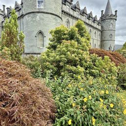 Castle grounds