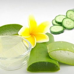 Better Nails & Spa - Better Nails & Spa in Benton, AR 72015