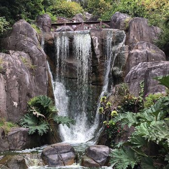 Strawberry Hill - Waterfall! (picture taken facing Strawberry Hill) - Parks Near Me - San Francisco, California Strawberry Hill - Waterfall! (picture taken facing Strawberry Hill) - Parks Near Me - San Francisco, California