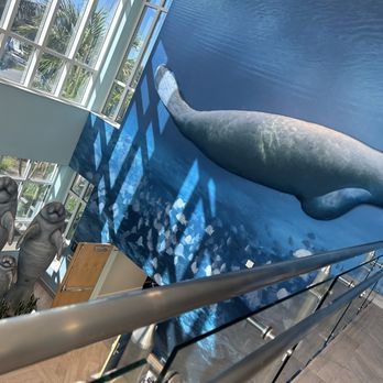 Manatee Lagoon - Inside 2story building. - Aquariums Near Me - West Palm Beach, Florida Manatee Lagoon - Inside 2story building. - Aquariums Near Me - West Palm Beach, Florida