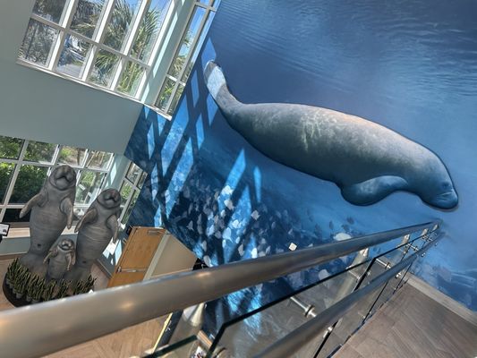 Manatee Lagoon by null