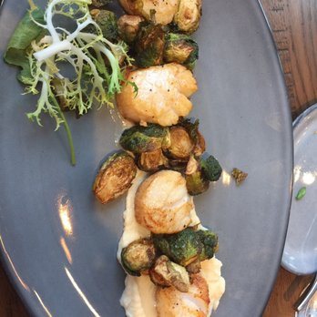 Paddlefish - Seafood Near Me - Orlando, Florida Paddlefish - Seafood Near Me - Orlando, Florida