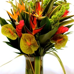 Lynne Davis Wedding and Events