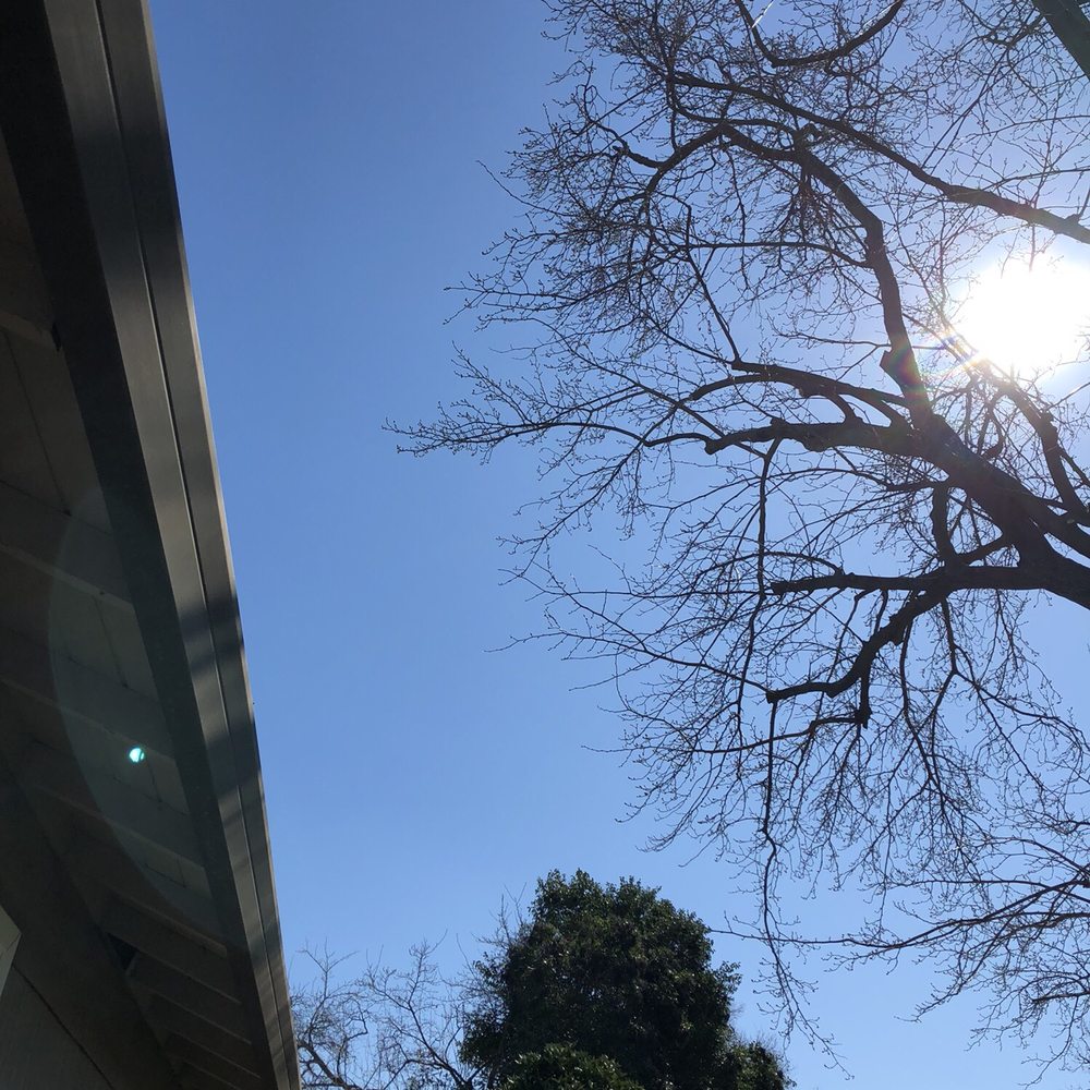 The Davey Tree Expert Company - Tree Services Near Me - Sacramento, California The Davey Tree Expert Company - Tree Services Near Me - Sacramento, California
