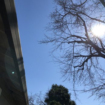 The Davey Tree Expert Company - Tree Services Near Me - Sacramento, California