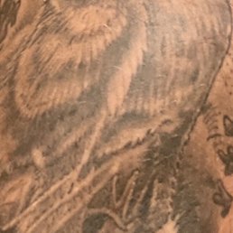 Tattoo of a buck with a nature background Tattoo of a buck with a nature background