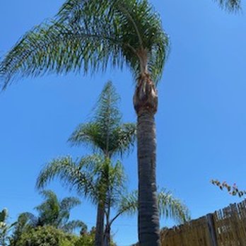 Los Reyes - Excellent!! - Tree Services Near Me