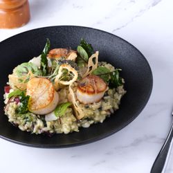 Loondocks - Scallop Risotto