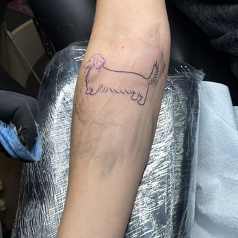 Palm Desert Tattoo - Dachshund puppy - Tattoo Near Me - Palm Desert, California Palm Desert Tattoo - Dachshund puppy - Tattoo Near Me - Palm Desert, California