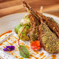 Jaks Authentic Indian & Modern Vibe - Pistachio Burra Chaap (d,n)
Smoked lamb chops, charred brussels sprout,
spiced pepita yogurt, olive snow, edible flower