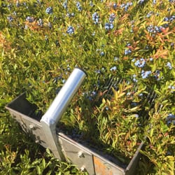 Beddington Ridge Farm - Blueberry raking